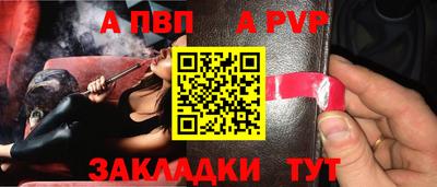 стафф Гай