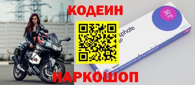 стафф Гай