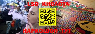 стафф Гай