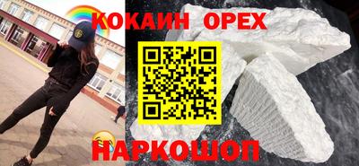 PSILOCYBIN Гатчина