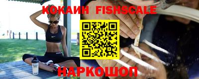 PSILOCYBIN Гатчина