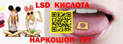 PSILOCYBIN Гатчина