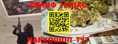 PSILOCYBIN Гатчина