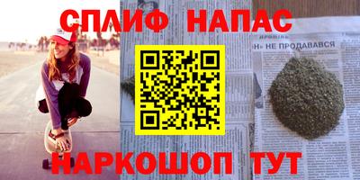 стафф Гай