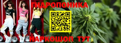 стафф Гай