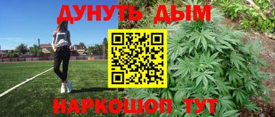 PSILOCYBIN Гатчина