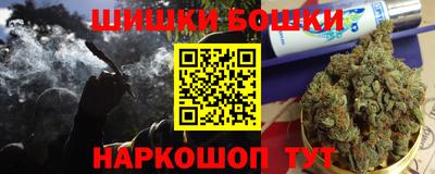 PSILOCYBIN Гатчина
