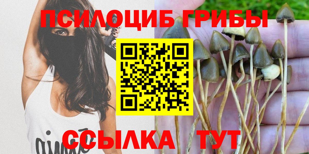 Псилоцибиновые грибы MAGIC MUSHROOMS  Изобильный  Галлюциногенные грибы мицелий 