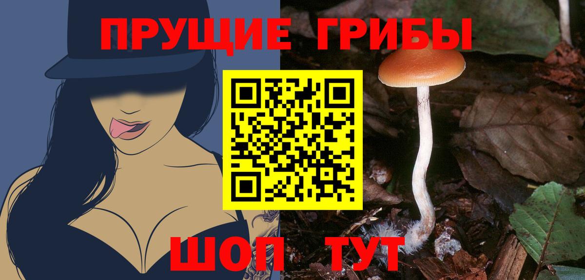 Псилоцибиновые грибы Psilocybine cubensis  Вход с VPN  Изобильный 