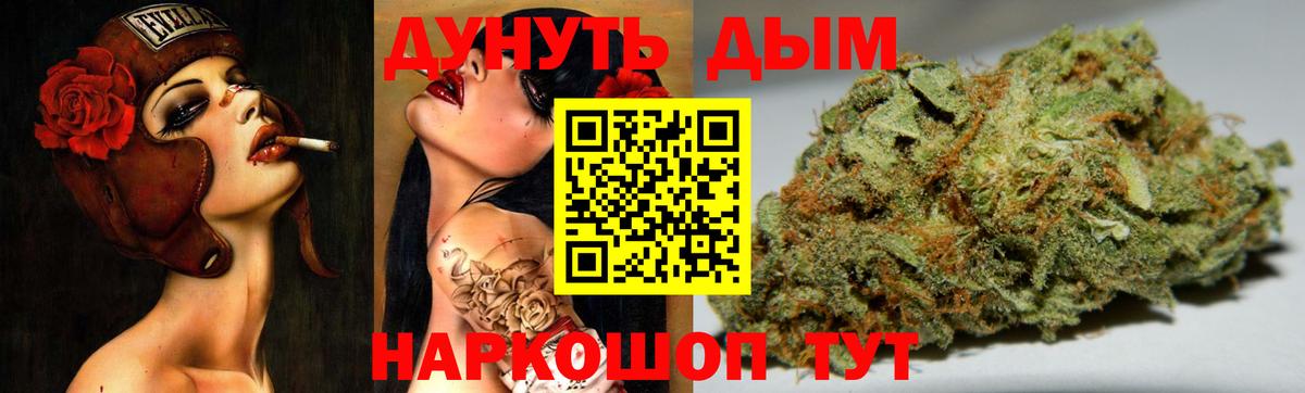 Конопля конопля  Конопля план  МАРИХУАНА OG Kush  Каннабис семена  Изобильный 